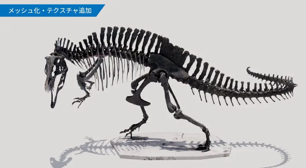 アクロカントサウルス骨格標本(レプリカ) - クモノスコーポレーション